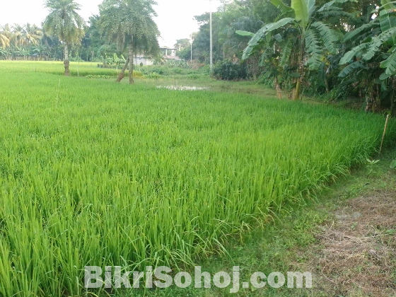 জমি বিক্রিয় খড়ী  বাইপাস  আসরাফের মোড় হাইওয়ে রাস্তা